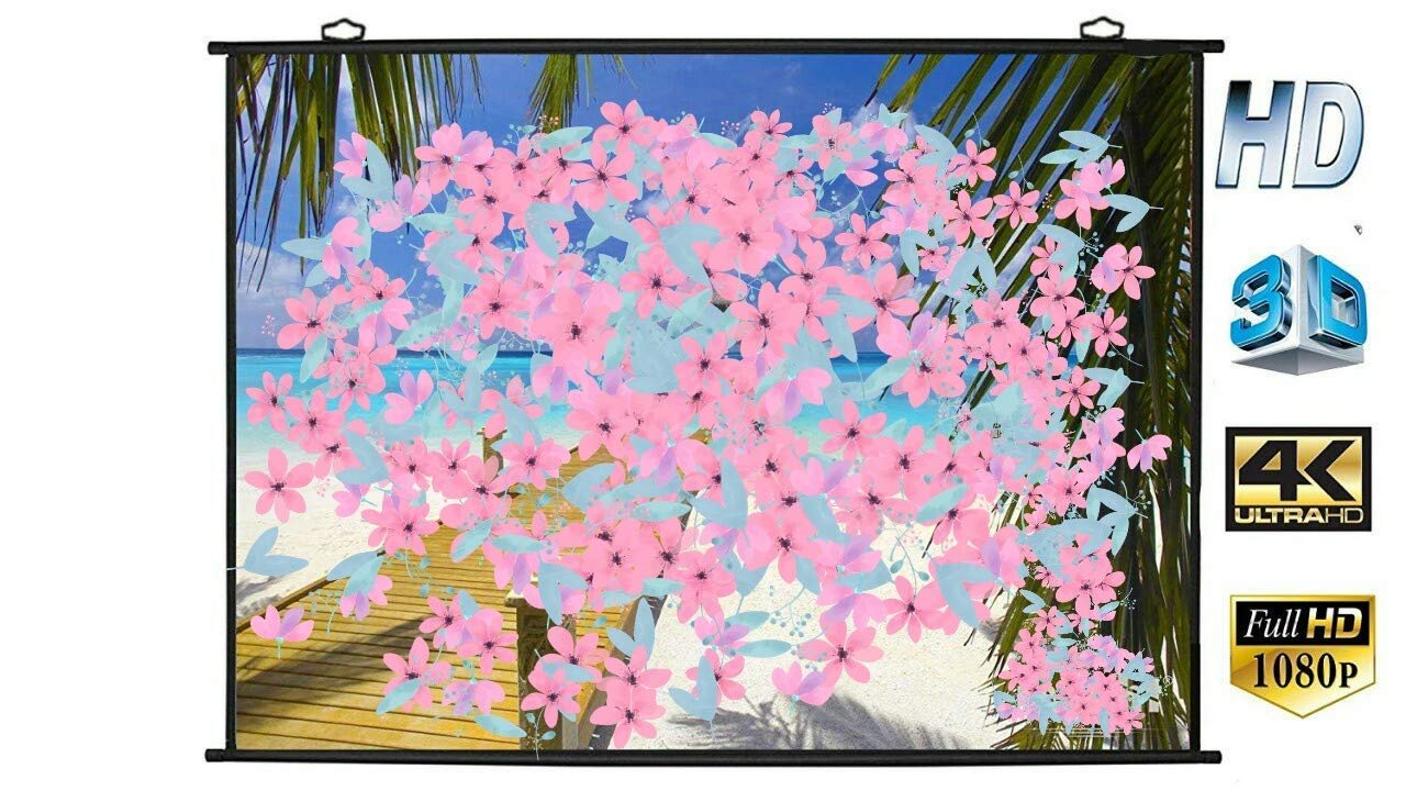Map Type Projector Screen3