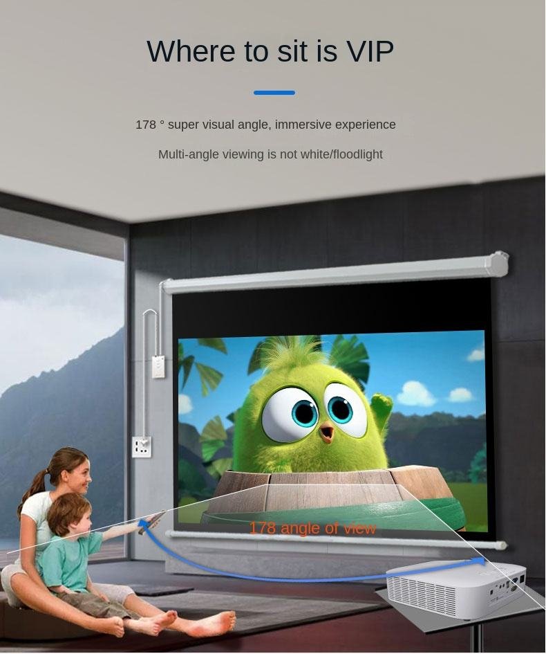 Motorized Projector Screen4