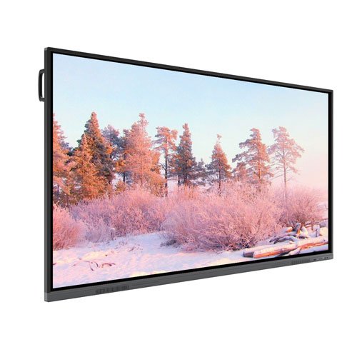 Interactive Flat Panel